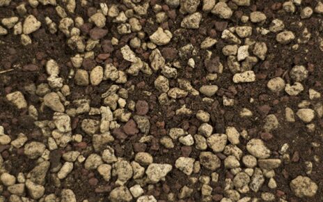 L’importanza della granulometria degli inerti nel substrato per cactacee