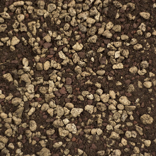 L’importanza della granulometria degli inerti nel substrato per cactacee