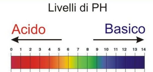 ph